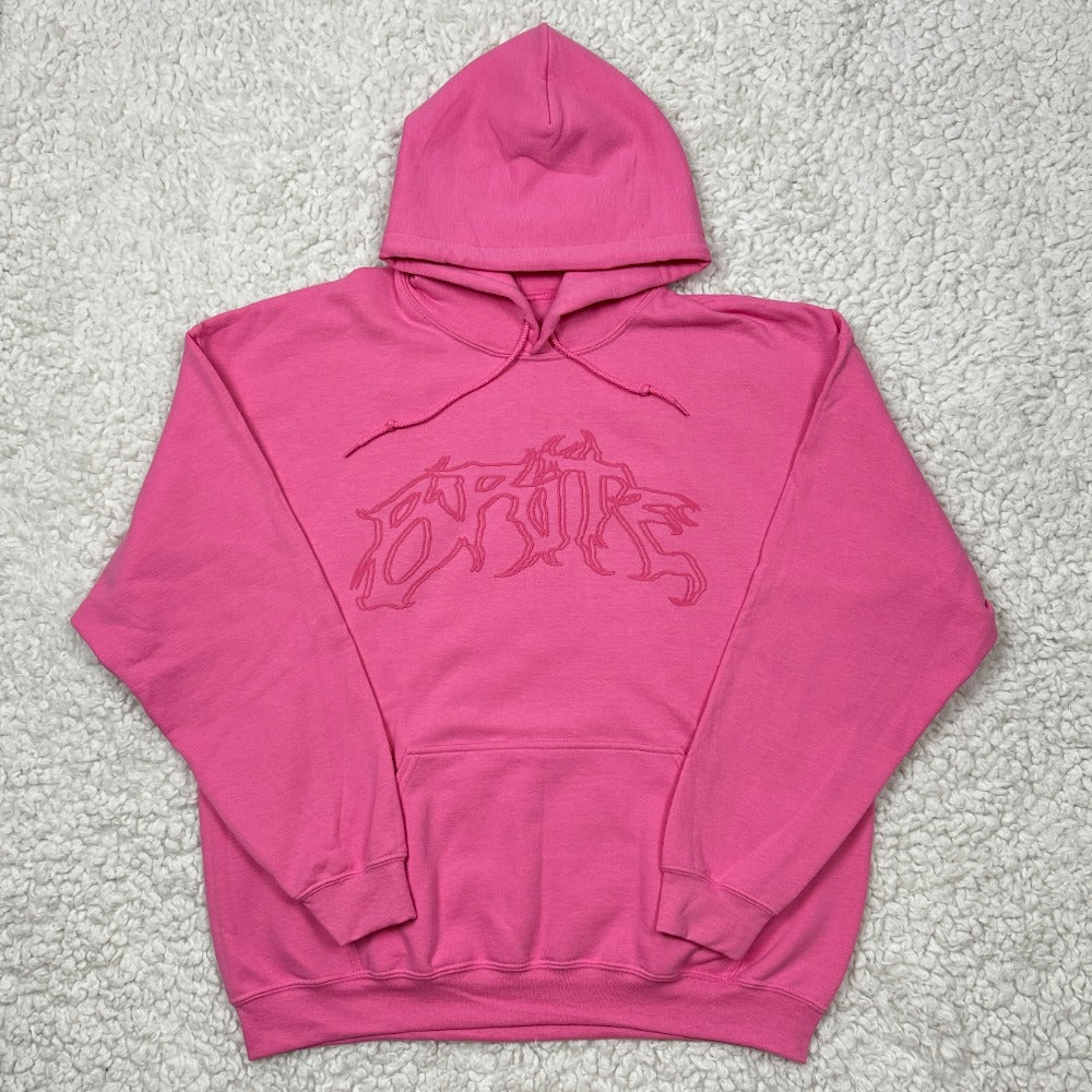 PINK BASICS HOODIE